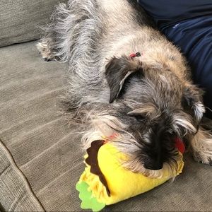 Meet your Posher, Makenna